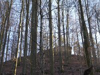 SORTIE CHATEAU FALKENSTEIN ROCHER DU FALKENBERG 08 02 2019 26